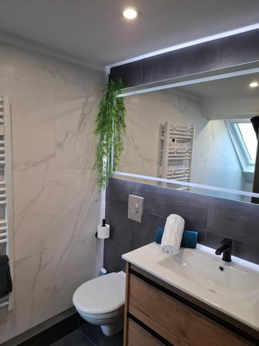 Bel Appartement, Sélestat Zewnętrze zdjęcie